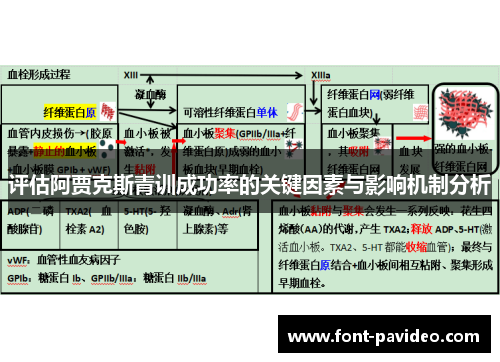 评估阿贾克斯青训成功率的关键因素与影响机制分析