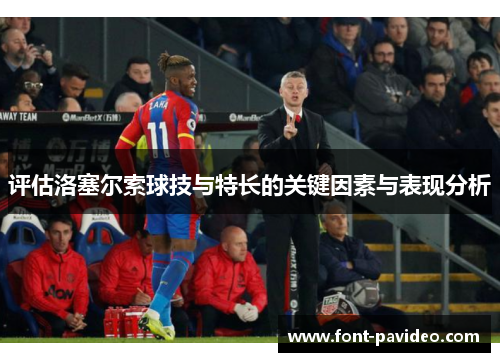 评估洛塞尔索球技与特长的关键因素与表现分析