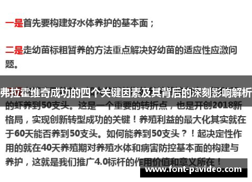 弗拉霍维奇成功的四个关键因素及其背后的深刻影响解析